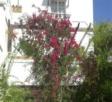 New Golden Mile property: Townhome with 4 bedroom in New Golden Mile, Spain 109940