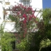New Golden Mile property: 4 bedroom Townhome in Malaga 109940