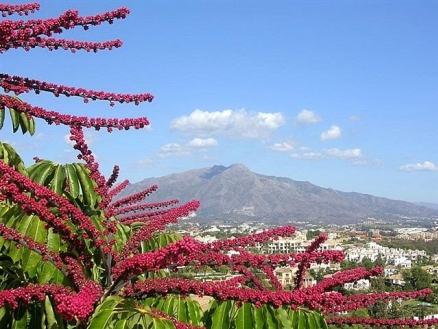 El Paraiso property: Villa with 5 bedroom in El Paraiso 109957