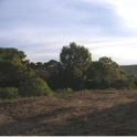 Guadalmina Alta property: Land for sale in Guadalmina Alta 110327