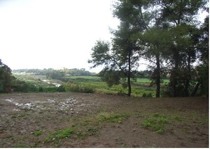 Guadalmina Alta property: Land in Malaga for sale 110327