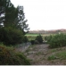 Guadalmina Alta property: Guadalmina Alta Land, Spain 110327