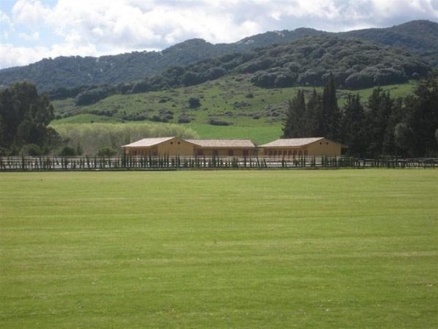 Sotogrande&nbsp;property:&nbsp;Commercial&nbsp;for&nbsp;sale&nbsp;in&nbsp;Sotogrande&nbsp;110328