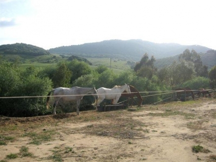 Sotogrande&nbsp;property:&nbsp;Commercial&nbsp;with&nbsp;3&nbsp;bedroom&nbsp;in&nbsp;Sotogrande,&nbsp;Spain&nbsp;110328