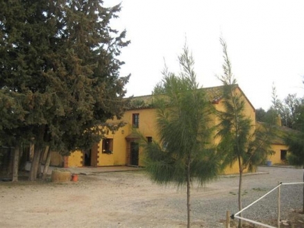 Sotogrande&nbsp;property:&nbsp;Commercial&nbsp;in&nbsp;Cadiz&nbsp;for&nbsp;sale&nbsp;110328