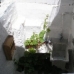 Cuevas De San Marcos property: Townhome in Cuevas De San Marcos 110413