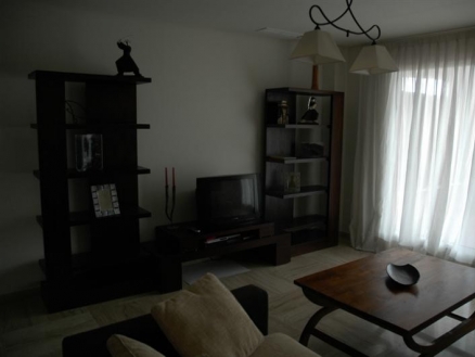 Apartment with 4 bedroom in town, Spain 110444