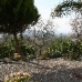 Coin property: 2 bedroom Villa in Coin, Spain 110596