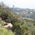 Land for sale in town 110759