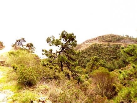 Benahavis property: Land for sale in Benahavis, Spain 110771