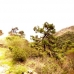 Benahavis property: Benahavis, Spain Land 110771
