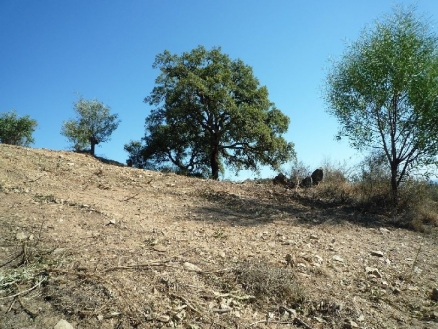 Land in Malaga for sale 110784