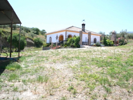 Alozaina property: Alozaina Villa 111082