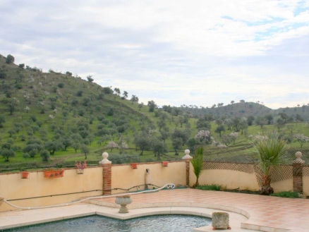 Coin property: Villa with 4 bedroom in Coin 111114