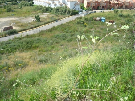 Estepona property: Land with bedroom in Estepona, Spain 111119