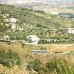 Alhaurin El Grande property:  Villa in Malaga 111163