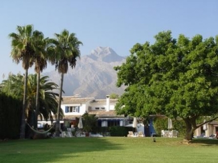 Commercial&nbsp;for&nbsp;sale&nbsp;in&nbsp;town&nbsp;111320