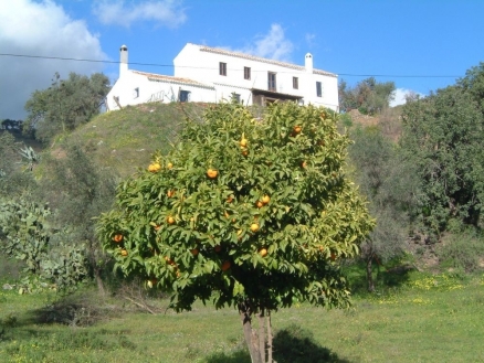 Almogia&nbsp;property:&nbsp;Villa&nbsp;for&nbsp;sale&nbsp;in&nbsp;Almogia,&nbsp;Spain&nbsp;111479