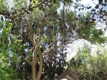 Guadalmina&nbsp;Alta&nbsp;property:&nbsp;Guadalmina&nbsp;Alta,&nbsp;Spain&nbsp;|&nbsp;Villa&nbsp;for&nbsp;sale&nbsp;111552