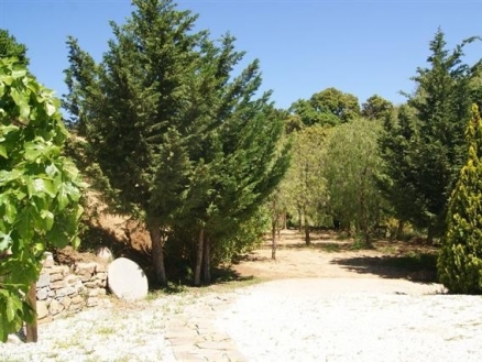 Casares property: Casares Villa 111593