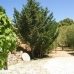 Casares property: Beautiful Villa for sale in Malaga 111593