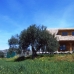 Alhaurin El Grande property: Alhaurin El Grande, Spain Villa 111627