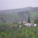 Casarabonela property: Villa for sale in Casarabonela 111657