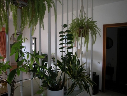 Estepona property: Malaga Apartment 111767