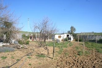 Coin property: Villa for sale in Coin, Malaga 111836
