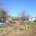 Coin property: Villa in Malaga 111836