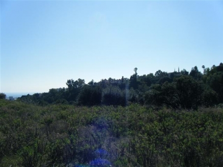 La&nbsp;Quinta&nbsp;property:&nbsp;Land&nbsp;for&nbsp;sale&nbsp;in&nbsp;La&nbsp;Quinta,&nbsp;Malaga&nbsp;111842