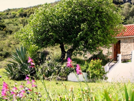 Casares property: Villa for sale in Casares, Spain 111857