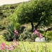 Casares property: Casares, Spain Villa 111857