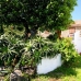Casares property: 2 bedroom Villa in Casares, Spain 111857