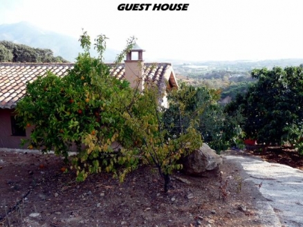 Coin property: Malaga Villa 112088