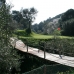 Estepona property: Commercial in Estepona 112089