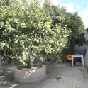 Estepona property: Land for sale in Estepona 112123
