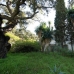 Elviria property: Land in Malaga 112477