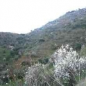 Guaro property: Land for sale in Guaro 112485