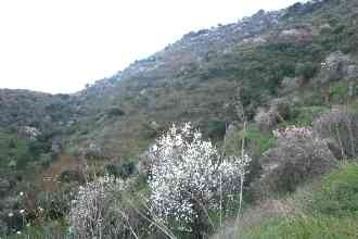 Guaro property: Land for sale in Guaro 112485