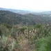 Guaro property: Guaro, Spain Land 112485