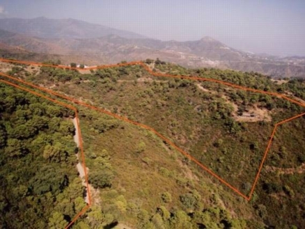 Estepona property: Land for sale in Estepona 112777
