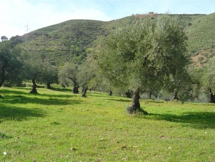 Monda property: Monda Villa 113094