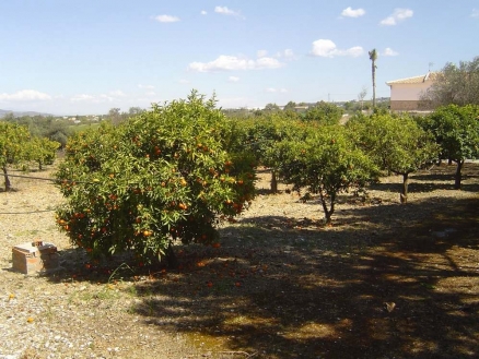 Coin property: Malaga Villa 113122