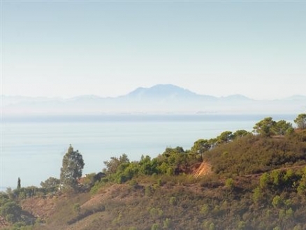 Estepona property: Villa in Malaga for sale 113207