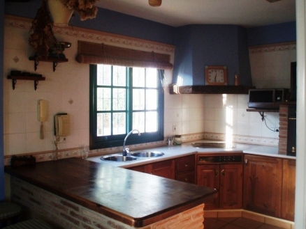 Estepona property: Villa for sale in Estepona, Malaga 113219