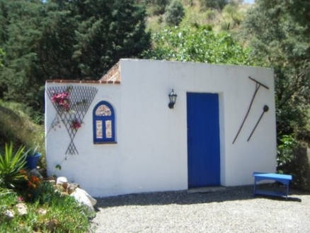 Coin property: Coin Villa 113269