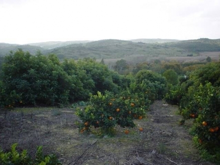 Jimena De La Frontera property: Villa for sale in Jimena De La Frontera 113340