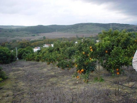 Jimena De La Frontera property: Villa for sale in Jimena De La Frontera, Spain 113340