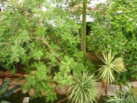 Apartment in Malaga for sale 113354